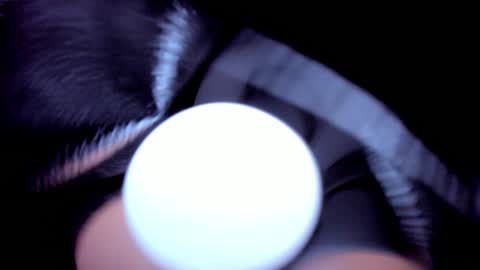 Snapshot of evelyn_coelloo chatting on February 25, 2026, 7:23 pm Eve online show from February 25, 2026, 7:23 pm