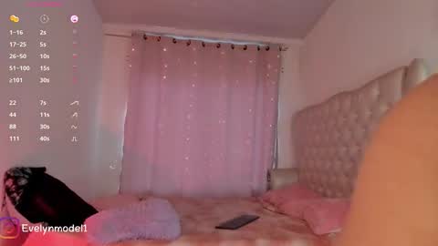 Snapshot of evelyn_evelyn chatting on October 23, 2025, 4:06 pm evelyn evelyn online show from October 23, 2025, 4:06 pm