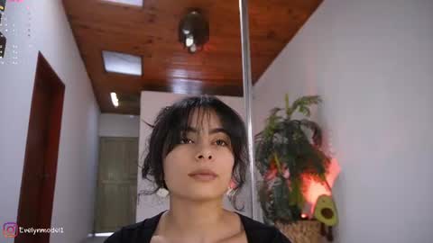 evelyn evelyn online show from June 11, 2026, 4:16 pm