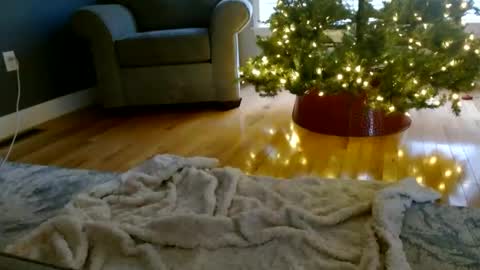 Snapshot of everleighmae chatting on December 9, 2024, 1:24 pm Everleighmae online show from December 9, 2024, 1:24 pm