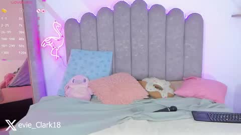 My name is Evie  nice to meet you  really get to know me better private is open  online show from April 28, 2026, 11:21 pm