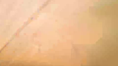 Exhibboytoy3 online show from May 16, 2026, 12:59 pm