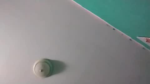 experttreecompany online show from March 14, 2026, 10:10 am