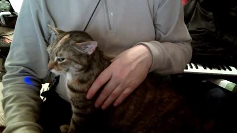 Fabius online show from January 23, 2025, 12:52 pm