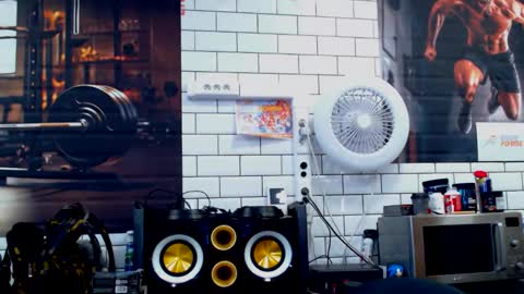 fabxxxl online show from September 19, 2025, 7:54 am