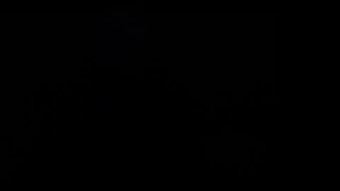 FallGays online show from December 26, 2024, 4:32 am