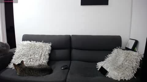 FallGays online show from February 22, 2025, 12:16 am