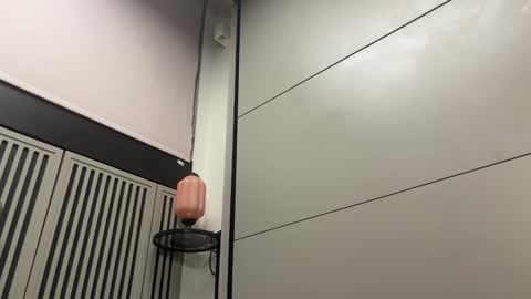 Gattino online show from December 20, 2024, 11:37 pm