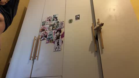 Gattino online show from September 29, 2025, 12:21 pm