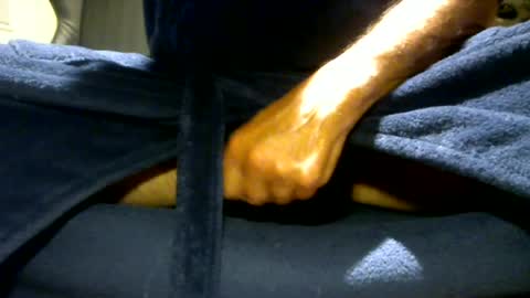 fastoys aka ...what ever.. online show from July 21, 2026, 6:32 pm