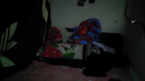 Snapshot of fazifazila chatting on November 20, 2025, 8:58 am fazila online show from November 20, 2025, 8:58 am