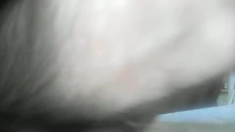 Snapshot of feardubh chatting on January 10, 2025, 9:34 am feardubh online show from January 10, 2025, 9:34 am