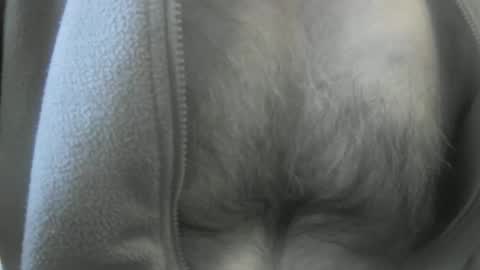 Snapshot of feardubh chatting on January 19, 2025, 3:53 pm feardubh online show from January 19, 2025, 3:53 pm