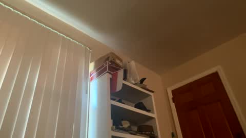 felicitybliss29 online show from December 3, 2024, 8:50 pm