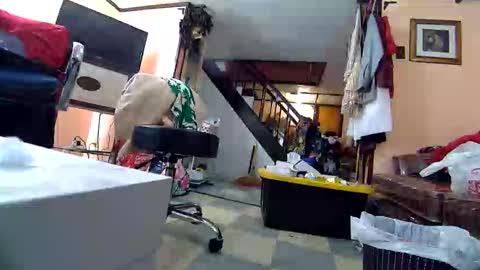 felicitybliss29 online show from May 2, 2026, 2:49 am