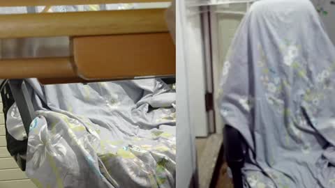 Snapshot of felixlau chatting on December 12, 2024, 11:50 am felixlau online show from December 12, 2024, 11:50 am