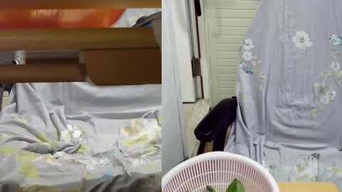 Snapshot of felixlau chatting on February 18, 2025, 11:55 am felixlau online show from February 18, 2025, 11:55 am