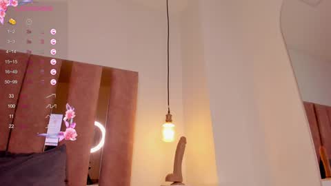 Snapshot of fer_luu chatting on December 10, 2024, 11:22 am Fernanda Luna online show from December 10, 2024, 11:22 am