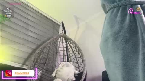 Snapshot of fernandafox_ chatting on June 3, 2026, 3:53 am fernanda online show from June 3, 2026, 3:53 am