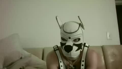 fetishsearch1abdl online show from September 25, 2025, 11:03 am