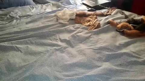 ffst0ckings online show from December 25, 2024, 7:56 pm