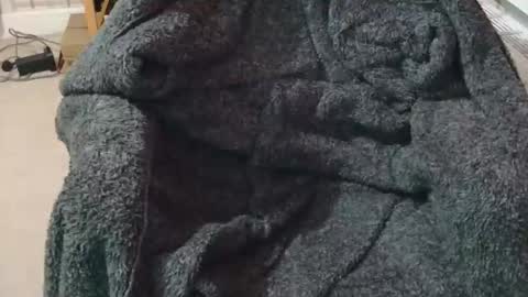 Snapshot of ffys2025 chatting on February 13, 2026, 9:22 pm ffys2025 online show from February 13, 2026, 9:22 pm