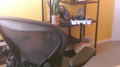 filip907 online show from September 25, 2025, 11:25 am