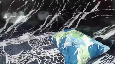 Snapshot of filipinabigcock chatting on December 14, 2024, 6:56 am filipinabigcock online show from December 14, 2024, 6:56 am