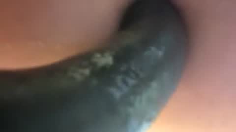 Snapshot of fillmylittlehole chatting on July 2, 2026, 7:09 pm Fill My Little Hole online show from July 2, 2026, 7:09 pm