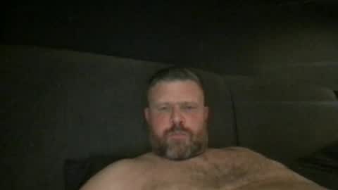 Snapshot of fin_dom_bear chatting on May 4, 2026, 12:06 am fin bear dom online show from May 4, 2026, 12:06 am