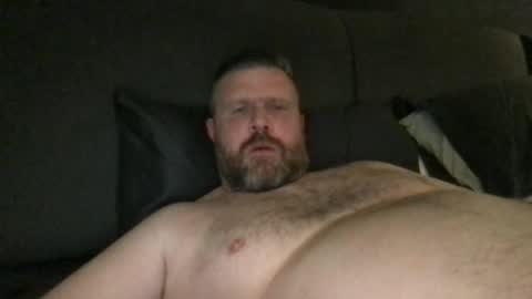 Snapshot of fin_dom_bear chatting on May 10, 2026, 5:34 am fin bear dom online show from May 10, 2026, 5:34 am