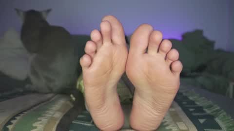 Snapshot of findomfeet_ chatting on December 19, 2024, 12:02 am Ashley online show from December 19, 2024, 12:02 am