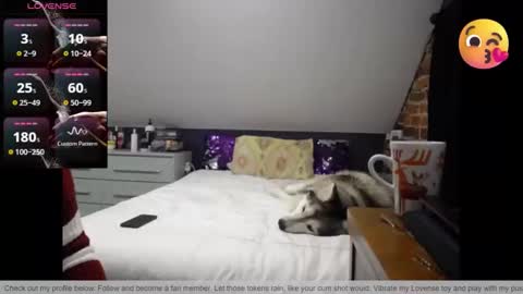 Snapshot of fionna_fineas chatting on March 30, 2026, 1:17 am Fionna online show from March 30, 2026, 1:17 am