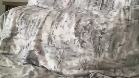 FitCollegeStudxx online show from February 17, 2025, 7:21 pm