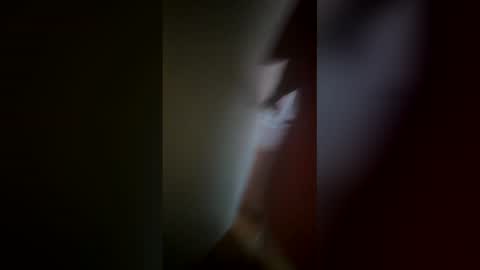 Ive Retired From Camming  online show from February 12, 2026, 8:04 pm