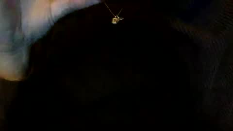 Snapshot of floraexploration chatting on December 23, 2024, 6:27 pm floraexploration online show from December 23, 2024, 6:27 pm