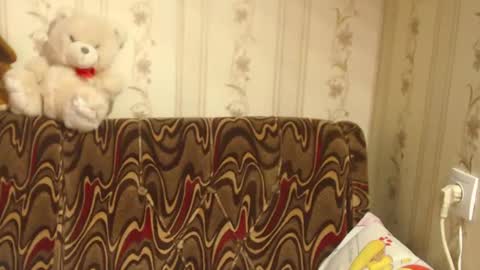 Snapshot of flowercandydoll chatting on February 27, 2025, 8:50 am say meow and send tip online show from February 27, 2025, 8:50 am