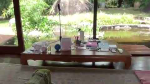 Snapshot of fluffy_bunnyxxx chatting on February 21, 2025, 5:13 am fluffy_bunnyxxx online show from February 21, 2025, 5:13 am