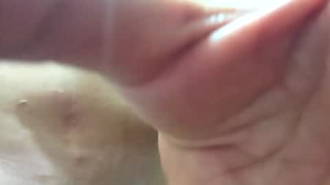 Snapshot of follador6543 chatting on June 1, 2026, 12:56 am follador6543 online show from June 1, 2026, 12:56 am