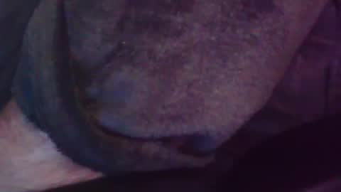 Snapshot of foolmonty chatting on July 28, 2026, 1:12 am Hooz2no online show from July 28, 2026, 1:12 am