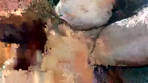 foxhole23 online show from September 13, 2025, 10:59 am