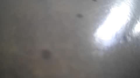 frank_sweetdick online show from May 13, 2026, 4:48 pm