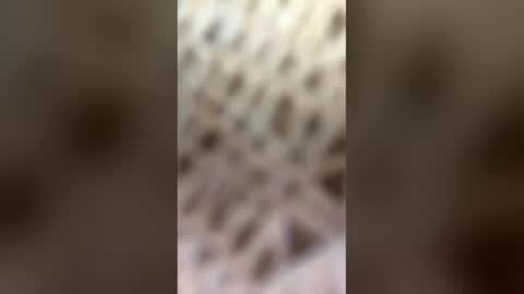 fransicus1988 online show from March 19, 2026, 9:46 am