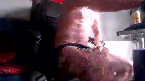 Snapshot of fred1051 chatting on February 28, 2026, 8:15 am yo online show from February 28, 2026, 8:15 am