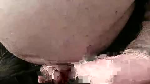 David Fredal online show from January 28, 2025, 5:03 pm