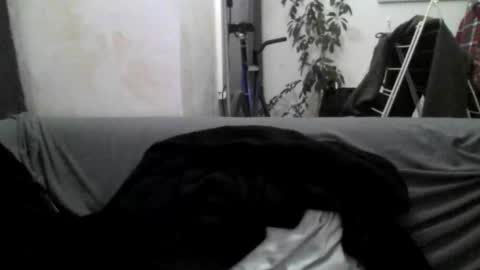 Snapshot of freddiechb chatting on January 31, 2025, 8:43 pm freddiechb online show from January 31, 2025, 8:43 pm