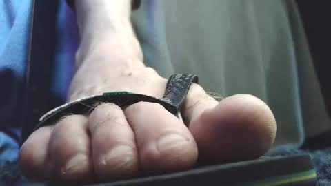 Greedy Fred online show from February 5, 2026, 2:54 pm