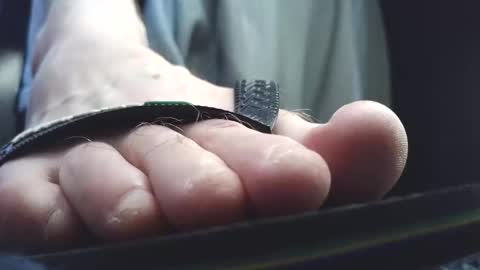 Greedy Fred online show from March 10, 2026, 3:06 pm