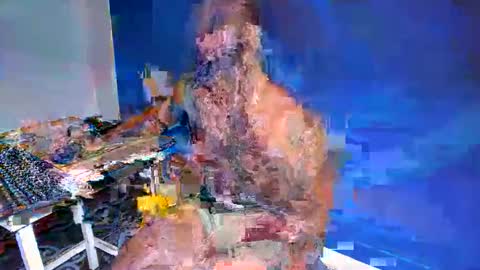 Snapshot of freedom_24 chatting on May 24, 2026, 4:01 pm shakur online show from May 24, 2026, 4:01 pm