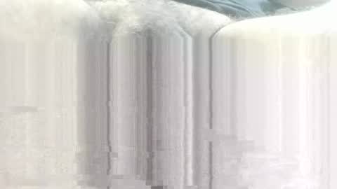 freedomwill2018 online show from April 27, 2026, 8:23 am